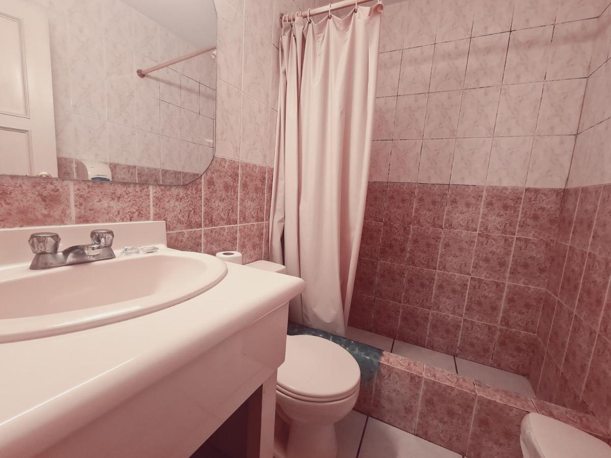 Bed and breakfast Gato Negro *