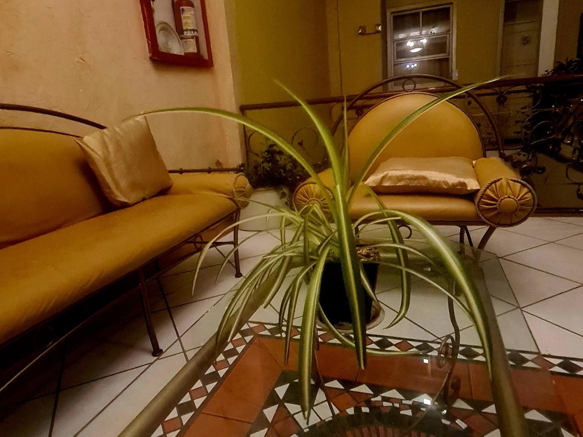 Gato Negro Bed and breakfast Cuenca